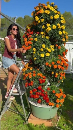 The secret to perfect harvests on aeroponic towers #seeds #farming #plants #gardening #agriculture