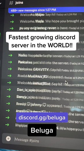 BeluGANG - The Ultimate Discord Server Experience!