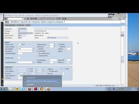 DEMO Curso SAP MM Funcionalidad de Registros Info VIDEO1