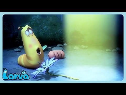 LARVA - Alien UFO Abduction | WildBrain Happy | Cartoons for Kids