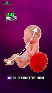 26 week fetus size ⚖️ #PregnancyToParenting | Pregnancy to parenting