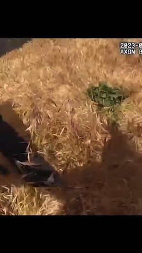 🔗 https://t.ly/DZ8JO 💥🚨🚨FOOTAGE RELEASED OF DEADLY SHOOTING INVOLVING SUSPECT, MERCED COUNTY DEPUTY . | Jeluma