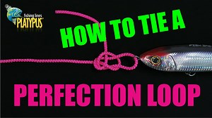 16 reactions | This week on the Tackle Tactics Animated Knot Series we are tying a loop knot that is designed to allow freedom of movement when attaching a lure or fly, the Perfection Loop. Fish on! #fishing #platypus #fishplatypus #okuma #tackletactics #letsgofishing | Tackle Tactics | Facebook