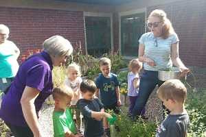 Fall 2020 Extension Master Gardener online class offered for Upper Peninsula residents
