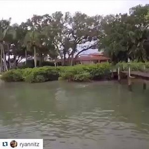 Mayhem from Saltwater Experience Ambassador Ryan Nitz | Saltwater Experience