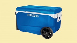 Igloo Recalls More Than 1M Coolers Over Fingertip Injury Risk