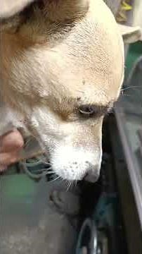 Milling machine table with OTK