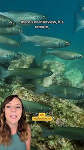💜Hiring: Fish Doorbell Operators. No experience required. 🐟🔔 Thousands of Dutch fish are desperately seeking volunteer remote workers to help them migrate upstream! They'd do it themselves, but they don’t have thumbs. 🤷‍♀️ Check out the fish doorbell at visdeurbel.nl and join millions of others in the most satisfying unpaid internship you'll ever have. 💼 #fish #cuteanimals #GoodNews #FeelGoodStories #goodnews | That Good News Girl