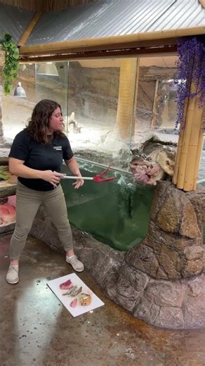 Feeding my homies 🐊 🐊 here some cool stuff! 🥩 🎣