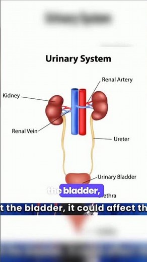 Common Causes of UTIs