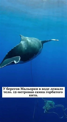 Разверни⬇️