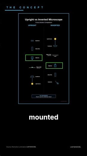 Parts of a Compound Microscope: Six Stations, One Light Path 🔬