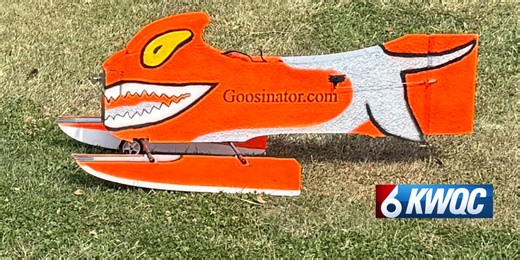 Debate kicks off if Goosinator is too much for Quad-Cities geese?