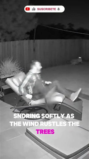 Brave Dog Scares Off Mountain Lion While Owner Sleeps – Terrifying Night Security Footage