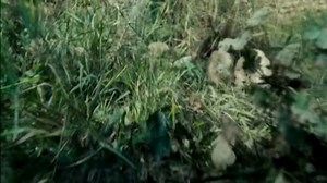 Perfume The Story of a Murderer