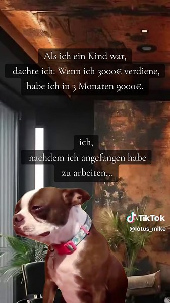 #meme #joblife #itslive #traurig #reality