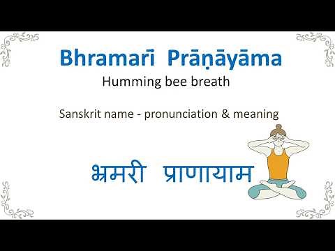Bhramarī Prāṇāyāma - Sanskrit for Yoga
