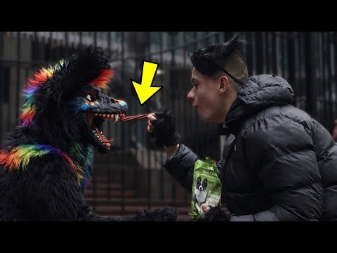 Feeding Furries Real Dog Treats…