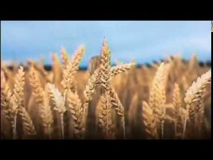 Commoners Choir: Hey Theresa