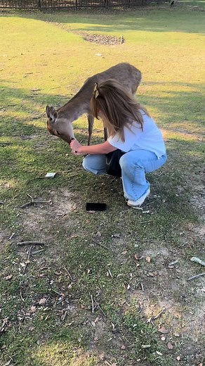 *edit* The Deer went her bag and ripped the cash out aha. We weren’t flexing 😂 #japan #nara #tokyo #yen #holidays