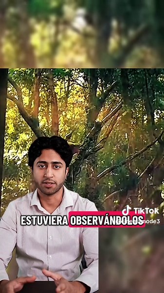 They arrived on an island… without knowing what creatures lived there #movie #reviews #usa🇺🇸 #movieclips #movirecommendations