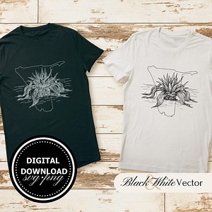 Namibia SVG Bundle, Namibia Outline PNG, Namibia Map Clipart, Hand Drawn Namibia and Welwitschia Mirabilis Pictures for Print and Engraving - Etsy