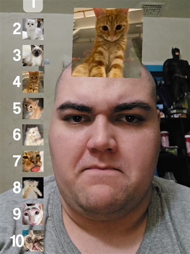 Top 10 Cat Breeds Ranked for Pet Lovers