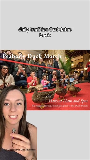 In Memphis, the most famous daily parade might belong to a group of ducks. At The Peabody Hotel, a cast of 5 ducks lives in a $200,000 “duck palace” on the roof. Every morning at 11 AM, Duckmaster Kenon Walker loads them into their custom elevator, rolls out the red carpet, and guides them through the lobby to the grand fountain, where they spend their day swimming and snacking. 🦆 At 5 PM, they march back out with the same ceremony and return to their penthouse, complete with its own fountain a