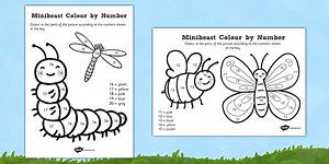 Minibeast Colour by Number 11-20