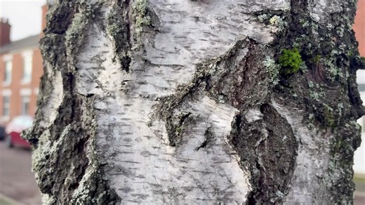 NEWTON FALLOWELL RETFORD on Instagram: "🆕🏡 NEW LISTING – Two Bedroom Home Near Retford Town Centre We’re delighted to bring to market this attractive two bedroom, two bathroom terraced home, ideally located close to Retford town centre and its excellent range of shops, cafés and transport links. The property offers a comfortable lounge, separate dining room, and a well-appointed kitchen, along with a private rear garden — perfect for relaxing or entertaining. Additional benefits include an air