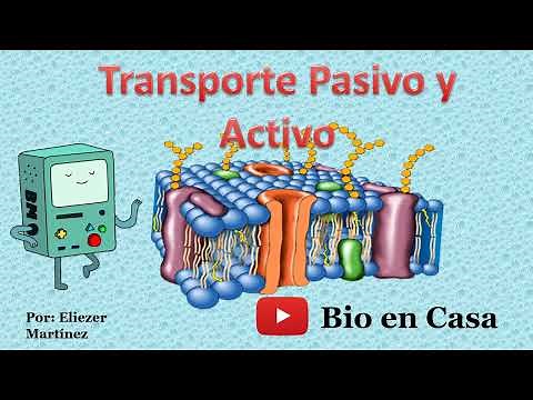 TRASPORTE PASIVO Y ACTIVO a través de la membrana plasmática