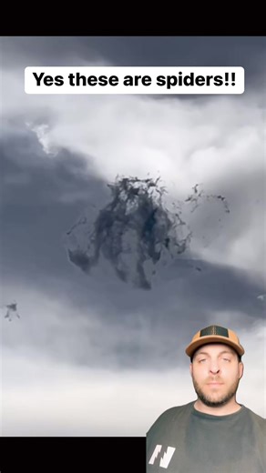 558K views · 5.6K reactions | Swarm of Spiders floating through sky in Australia!! #storytime #story #nightgod333 #nightgod | Nightgod333 Secrets Revealed | Facebook