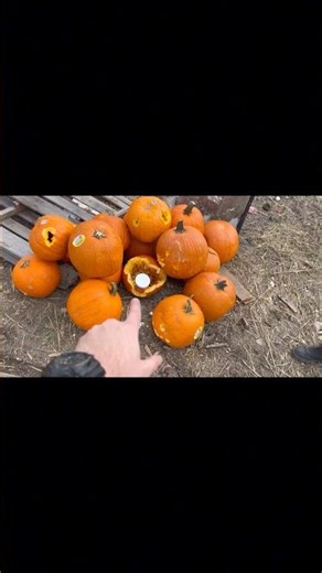 PUMPKINS VS 1LB OF TANNERITE #gunownersofamerica #federalammunition #america #explosion