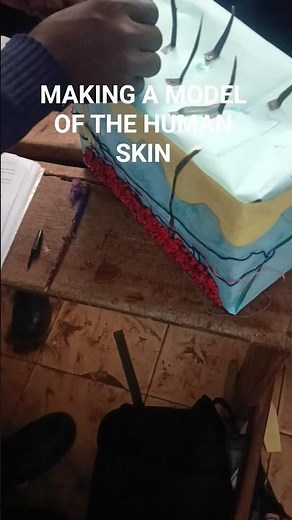 Making a model of the human skin.