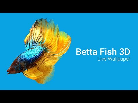 Betta Fish 3D v2.0 Live Wallpaper