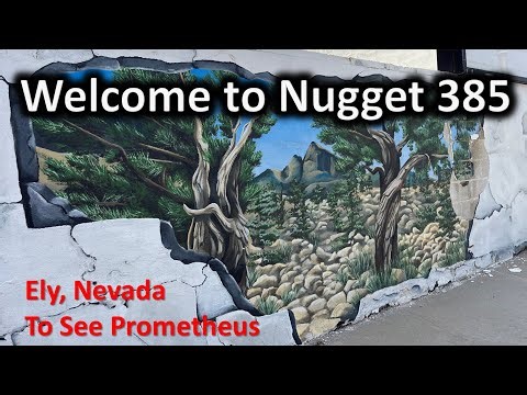 Join Us in Nevada To See Prometheus, The Bristlecone Pine
