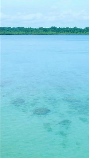 Exotic Beach Resort at Havelock Island (Swaraj Dweep) in Andaman Islands