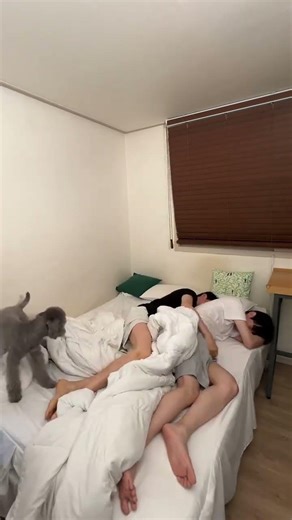 Things that happen when sleeping together with my Korean boyfriend 😂 (韓国人彼氏と