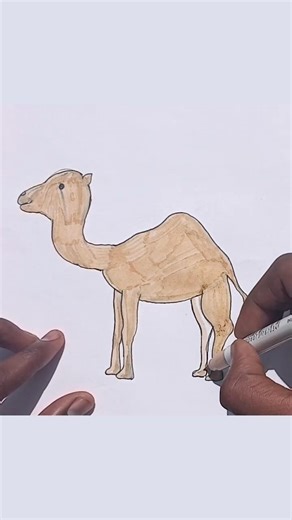 How to Draw a Camel Easily