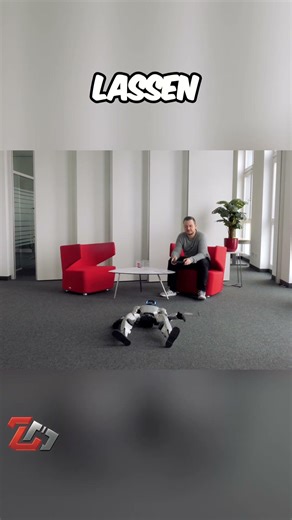 Roboter-Aufstehen: So cool sehen Sieger aus! #shorts