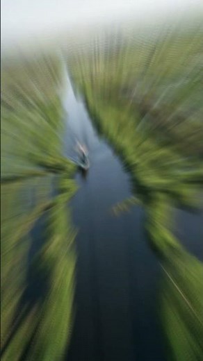 What is bioremediation?
