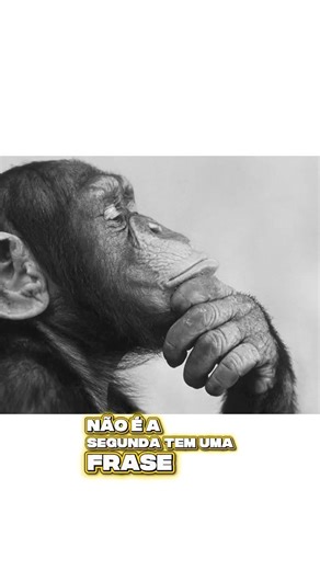 o que é benchmark PT. 1