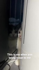 I'm sensitive you know 😞 | Quotes and Sayings