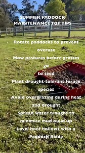 Summer grazing management is all about giving your pastures time to recover and thrive. Rotate your horses through different paddocks and mow before grasses go to seed to prevent over‑grazing and maintain healthy swards. In hot, dry weather choose drought‑tolerant grasses and avoid grazing too short so roots have a chance to regrow. Spread out water troughs to reduce the mud that accumulates around gates and high‑traffic areas. A Paddock Blade can help by smoothing hoof hollows and keeping your 