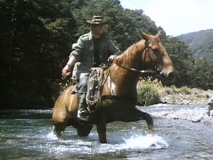 Wild Horses | Film | NZ On Screen