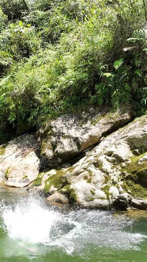 🎶✨“Zamora linda, te quiero” — Un homenaje musical a la tierra de encanto y tradición 🤍💚💛 🎤🌿 Zamora, historia escrita con oro, milagro natural y cuna de gente valiente. En conmemoración de tus 72 años de provincialización, la talentosa Victoria Hidalgo Chalco, alumna de la Escuela de Canto del GAD Municipal de Zamora, bajo la dirección del maestro Armando Romero, te rinde un emotivo homenaje interpretando el tema “Zamora linda, te quiero”, obra del compositor Armando Romero Torres. 🎵💫 Vic