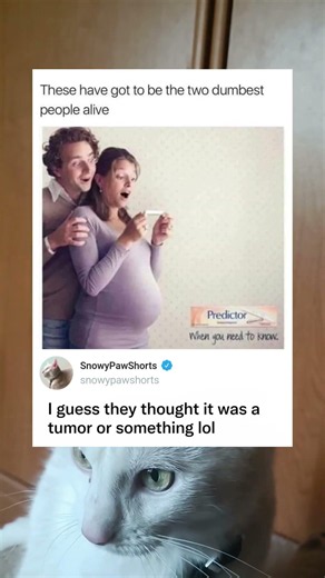 Visibly Pregnant Woman Takes Pregnancy Test in Ad