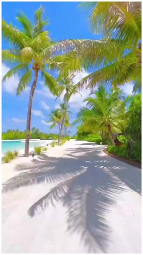 Template link in the comments 👉 #zoomerang #template