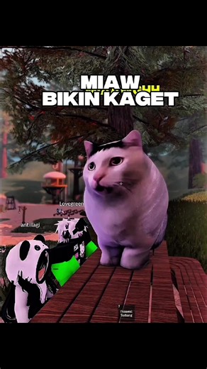 Miawgh Bikin Kaget! Konten Komedi Roblox Seru