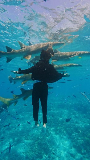 1.2M views · 1.3K reactions | Hydroman on Reels | Facebook